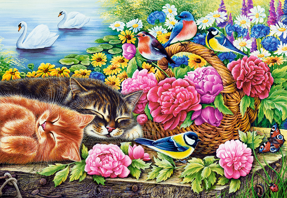 Puzzle Fauler Sonntag Castorland Teile Puzzles Katzen