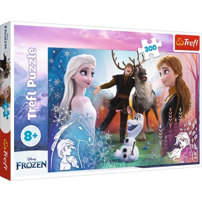 frozen 300 piece puzzle