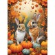 Autumn Bunnies