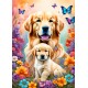 Dogs - Maternal Love Collection