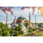 Puzzle  Alipson-Puzzle-F-50246 