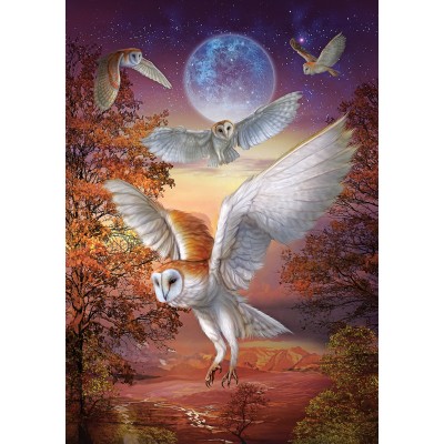 Puzzle Art-Puzzle-5273 Moonlight Owls