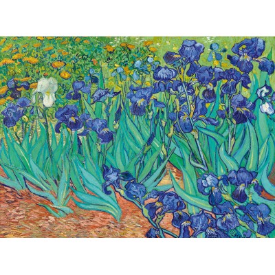 Puzzle Art-by-Bluebird-60165 Vincent Van Gogh - Les Iris, 1889