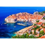 
						Puzzle  Bluebird-Puzzle-70457 