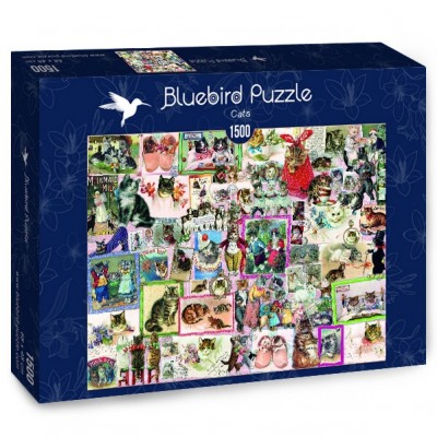 Puzzle Bluebird-Puzzle-70471 Cats