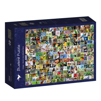 Puzzle Bluebird-Puzzle-70552-P Collage - World's most Beautiful Birds