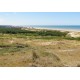 Dunes d'Hardelot, Côte d'Opale, France