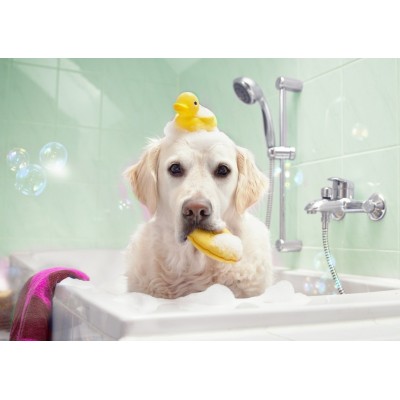 Puzzle Bluebird-Puzzle-F-90058 Bath Time