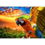 
						Puzzle  Bluebird-Puzzle-F-90263 