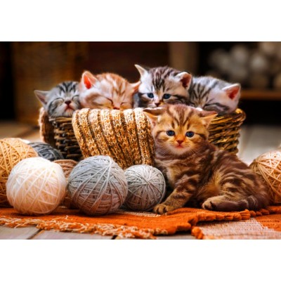 Puzzle Bluebird-Puzzle-F-90264 Kittens in Basket