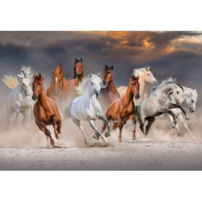 Puzzle Bluebird-Puzzle-F-90283 The Horse Race