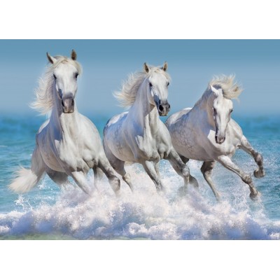 Puzzle Bluebird-Puzzle-F-90284 Horse Paradise