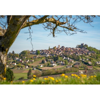 Puzzle Bluebird-Puzzle-F-90443 Sancerre, Centre-Val de Loire, France