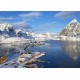 Fjord - Lofoten Archipelago