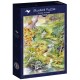 Forest Animals