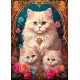 Katzen-Trio