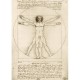 Leonardo Da Vinci - The Vitruvian Man, 1490