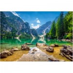 
						Puzzle  Castorland-103416 