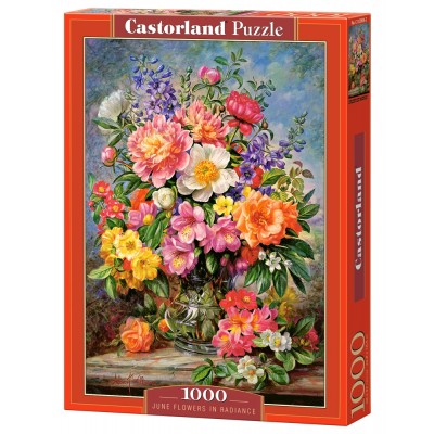 Puzzle Castorland-103904 June Flowers in Radiance