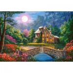 Puzzle  Castorland-104208 