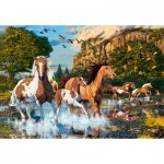 Puzzle  Castorland-104789 