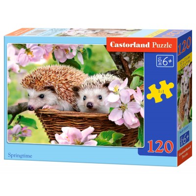 Puzzle Castorland-13319 Springtime
