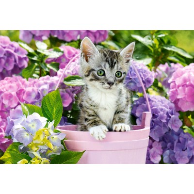 Puzzle Castorland-152001 Kitten in Basket