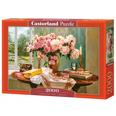 Puzzle Castorland-200719 A Present for Lindsey