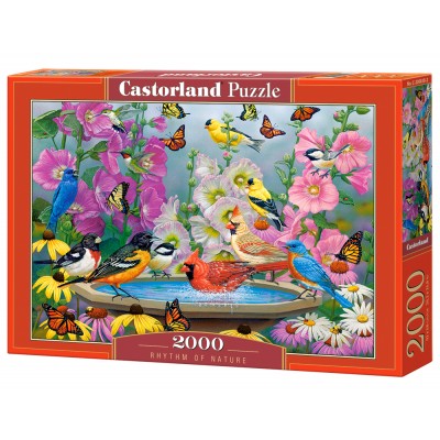 Puzzle Castorland-200818 Rhythm of Nature