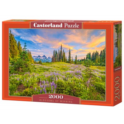 Puzzle Castorland-200863 Fleurs du Matin