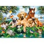 Puzzle  Castorland-222063 