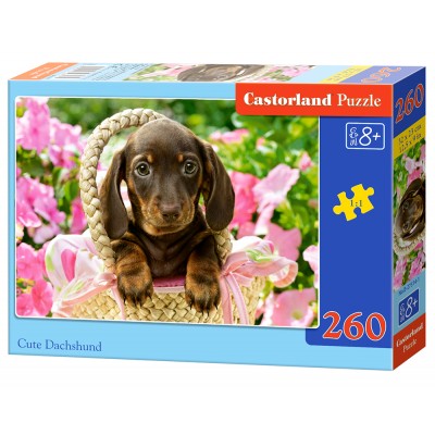 Puzzle Castorland-27514 Cute Dachshund