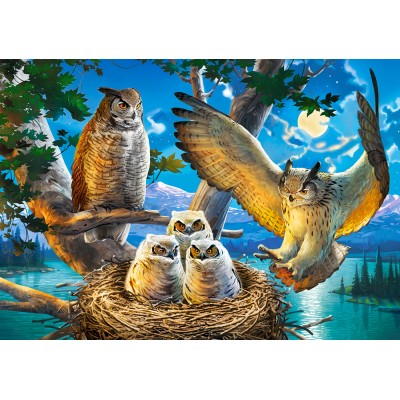 Puzzle Castorland-53322 Owl Family