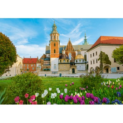 Puzzle Castorland-53599 Schloss Wawel, Krakow, Poland