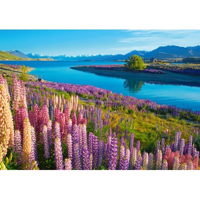 Puzzle Castorland-53896 Lake Tekapo, New Zealand