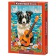 Collie, Gitarre und Meer