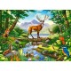 Woodland Harmony