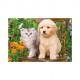 2 Puzzles -  Hund und Katze im Garten