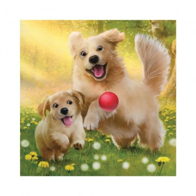Dino-33544 3 Puzzles - Family