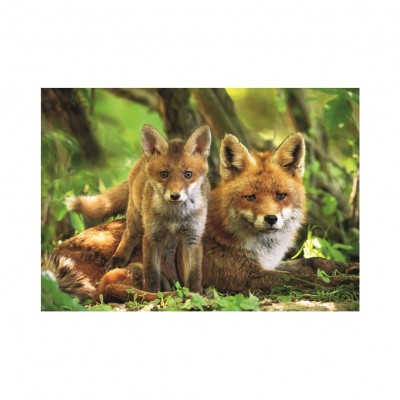 Puzzle Dino-47229 Pièces XXL - Renard et Renardeau