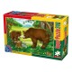 Animaux Sauvages - Ours