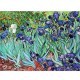 Jigsaw Puzzle - 1000 Pieces - Van Gogh : Iris