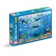 Ocean Animals