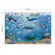 Ocean Animals