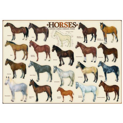 Puzzle Eurographics-6000-0078 Horses