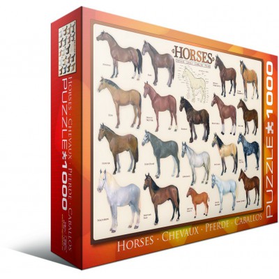 Puzzle Eurographics-6000-0078 Pferde (englischer Text)