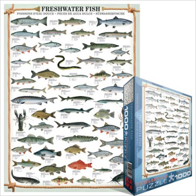 Puzzle Eurographics-6000-0312 Fishes
