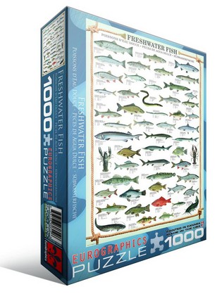 Puzzle Eurographics-6000-0312 Fishes