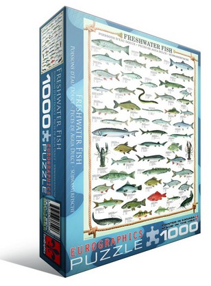 Puzzle Eurographics-6000-0312 Süßwasserfische