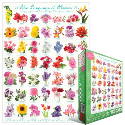 Puzzle Eurographics-6000-0579 